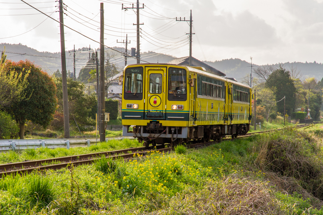 いすみ鉄道線