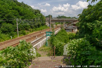 乙女駅